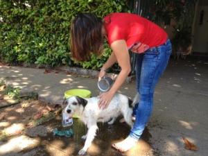 El Coquito was born.